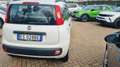 Fiat Panda 0.9 TwinAir Turbo S&S Easy Bianco - thumbnail 14