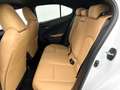 Lexus UX 250h F Sport Design | Navigatie | PDC | Weiß - thumbnail 17