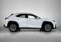 Lexus UX 250h F Sport Design | Navigatie | PDC | Weiß - thumbnail 12