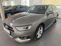Audi A4 Avant 35TDI advanced S-tronic *LED*NAVI*Sportsi... Gris - thumbnail 2