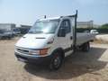 Iveco Daily 35c12 cassone fisso Blanco - thumbnail 1
