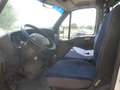 Iveco Daily 35c12 cassone fisso Blanco - thumbnail 7