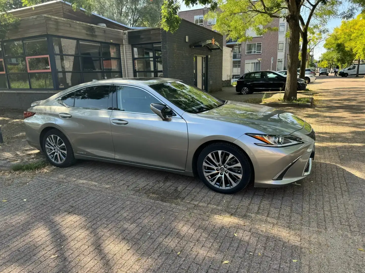 Lexus ES 300 300h Gris - 1