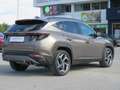 Hyundai TUCSON XLine HEV 1.6 230 AT 2WD Bronzo - thumbnail 6