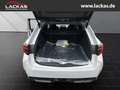 Toyota Corolla TS GR SPORT*TEILLEDER*CARPLAY*KAMERA*PDC Grau - thumbnail 19