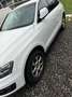 Audi Q5 Q5 2,0 TDI quattro DPF S-tronic Weiß - thumbnail 6