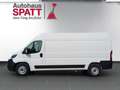Toyota Proace Max 2,2 D 140 Prowork L3H2 !! Jungwagen !! Weiß - thumbnail 2