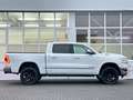 Dodge RAM 1500 Limited Mwst. Prins Luftf. LED Pano PDC Blanc - thumbnail 7