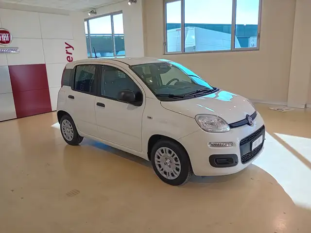 Fiat Panda PANDINA VAN ICON 1.0 Hybrid S&S 65cv -2 posti