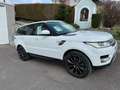 Land Rover Range Rover Sport 3,0 TDV6 HSE Weiß - thumbnail 1