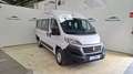 Fiat Ducato 33 2.3 150CV MJET PANORAMA COMBI 9 MEDIO ALTA Weiß - thumbnail 5
