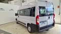 Fiat Ducato 33 2.3 150CV MJET PANORAMA COMBI 9 MEDIO ALTA Weiß - thumbnail 12