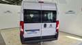 Fiat Ducato 33 2.3 150CV MJET PANORAMA COMBI 9 MEDIO ALTA Weiß - thumbnail 6