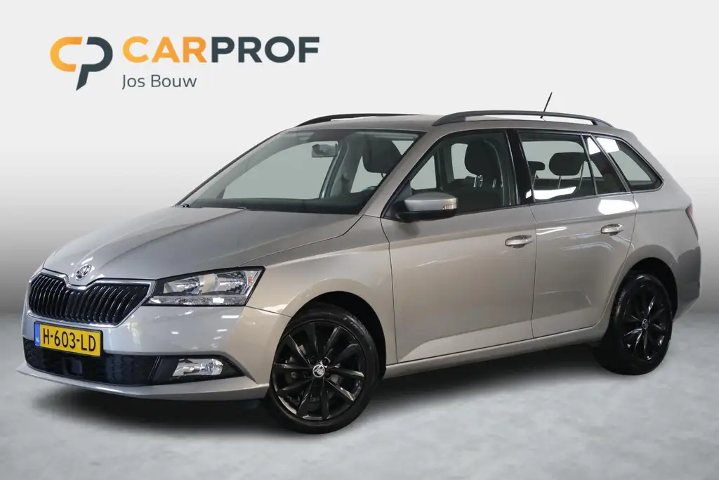 Skoda Fabia 2019 из Европы — купить под ключ
