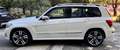 Mercedes-Benz GLK 220 GLK - X204 cdi bt Premium Full edition 4matic auto Weiß - thumbnail 11