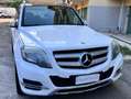 Mercedes-Benz GLK 220 GLK - X204 cdi bt Premium Full edition 4matic auto Weiß - thumbnail 3