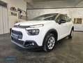 Citroen C3 1.5 bluehdi Feel Van 2 posti *PREZZO+IVA* Blanco - thumbnail 3