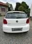 Volkswagen Polo Polo 1.2 5 porte United adatta ai neopatentati Bianco - thumbnail 3