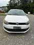 Volkswagen Polo Polo 1.2 5 porte United adatta ai neopatentati Bianco - thumbnail 5