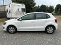 Volkswagen Polo Polo 1.2 5 porte United adatta ai neopatentati Bianco - thumbnail 2