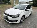 Volkswagen Polo Polo 1.2 5 porte United adatta ai neopatentati Bianco - thumbnail 1