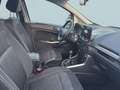 Ford EcoSport 1.0 EcoBoost TITANIUM Weiß - thumbnail 8