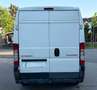 Citroen Jumper Kastenwagen/2011 - thumbnail 6