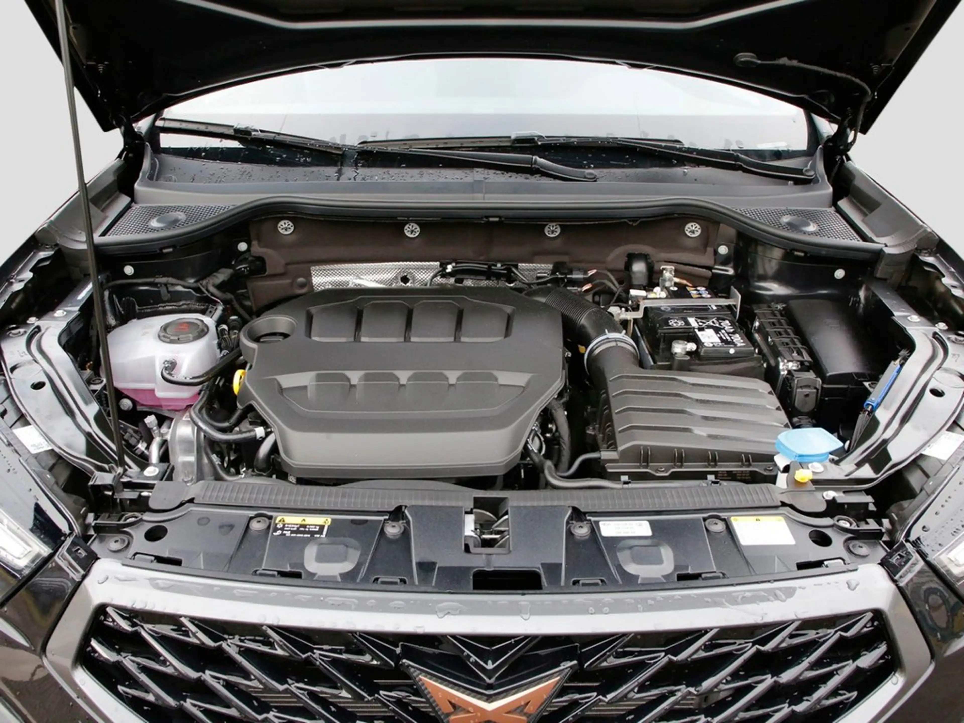 CUPRA Ateca Tribe Ed. 2.0 TSI Sie sparen 19.250 ATZ — photo 7