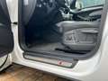Audi Q5 Q5 2,0 TDI quattro DPF S-tronic Weiß - thumbnail 2
