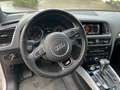 Audi Q5 Q5 2,0 TDI quattro DPF S-tronic Weiß - thumbnail 5