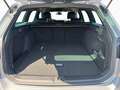 Volkswagen Passat Variant Alltrack 2.0 TDI SCR 4MOTION 147 kW 7-Gang-DSG NAV Plateado - thumbnail 17