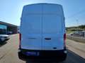 Ford Transit 350 Van 2.0TDCi 170CV L3 H3 Trend Bianco - thumbnail 6