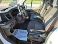 Ford Transit 350 Van 2.0TDCi 170CV L3 H3 Trend Bianco - thumbnail 9