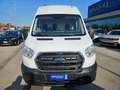 Ford Transit 350 Van 2.0TDCi 170CV L3 H3 Trend Bianco - thumbnail 2