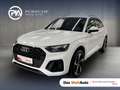 Audi Q5 40 TDI quattro S line Weiß - thumbnail 1