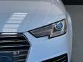 Audi A4 Avant 2.0 TDI 190CV quattro S tro design Wit - thumbnail 12