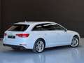 Audi A4 Avant 2.0 TDI 190CV quattro S tro design Wit - thumbnail 6