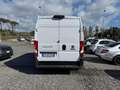 Fiat Ducato 35 2.3 MJT 140CV    L3 H2 Furgone Bianco - thumbnail 4