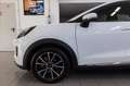 Ford Puma 1.0 ecoboost h Titanium s&s 125cv Bianco - thumbnail 7