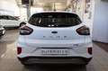 Ford Puma 1.0 ecoboost h Titanium s&s 125cv Bianco - thumbnail 5