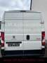 Peugeot Boxer Kasten 335 L2H2 Pro BlueHDi 130 S*Sortimo* Weiß - thumbnail 5