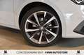 SEAT Leon 2.0 TDI 150CV DSG FR - TAN 4,95% entro 10/2025 Blanc - thumbnail 6