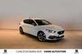 SEAT Leon 2.0 TDI 150CV DSG FR - TAN 4,95% entro 10/2025 Blanc - thumbnail 1