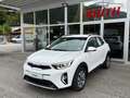 Kia Stonic Stonic 1,0 TGDI GPF Silber isg Blanc - thumbnail 1