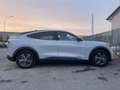 Ford Mustang Mustang Mach-e standard range rwd 269cv auto Srebrny - thumbnail 6