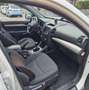 Kia Sorento Sorento 2.4 X-ecutive 7p. NAP Wit - thumbnail 7