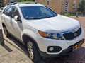Kia Sorento Sorento 2.4 X-ecutive 7p. NAP Wit - thumbnail 3