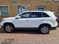 Kia Sorento Sorento 2.4 X-ecutive 7p. NAP Wit - thumbnail 4