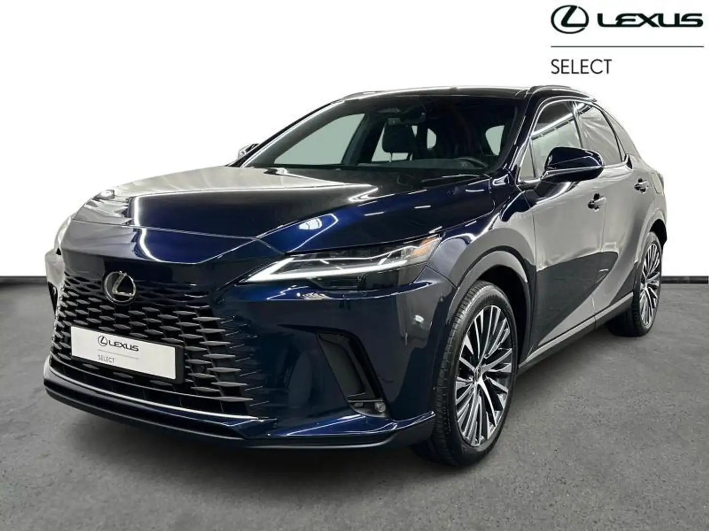 Lexus RX 450h Executive + Pano Azul - 1
