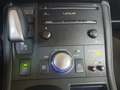 Lexus CT 200h 25th Edition NAVI/CRUISE/CLIMA/STOELVERW/LMV Grau - thumbnail 34